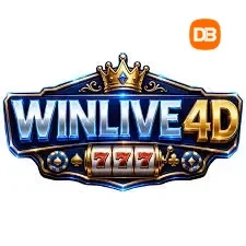 winlive4d